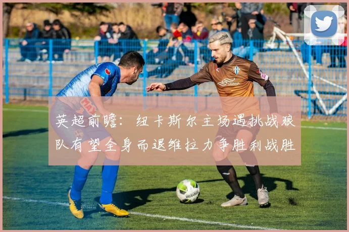 英超前瞻：纽卡斯尔主场遇挑战狼队有望全身而退维拉力争胜利战胜埃弗顿