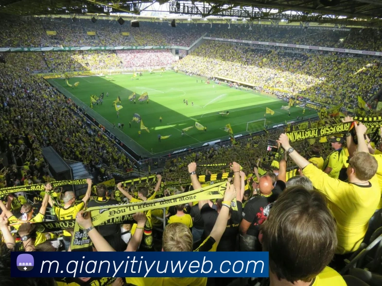 多媒体互动体验